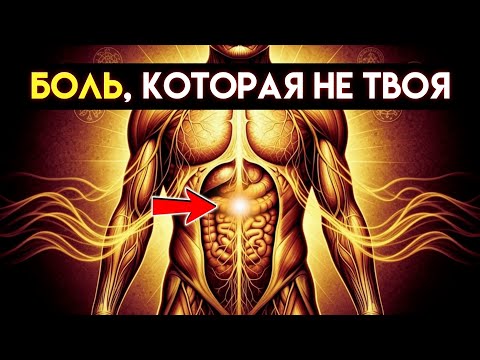 Видео: Три способа воздействия на фасцию, которые устраняют наследственные травмы (опубликовано сегодня)