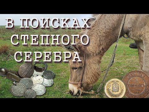 Видео: Поиск степного серебра. Много находок. Довольны все .