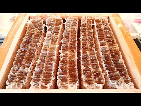 Видео: Топ 5, Лучший медовый десерт в Корее, Медовые конфеты, Медовое мороженое, вафли, Медовый хлеб