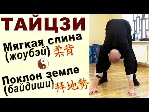 Видео: Тайцзи Ветер-Гром. "Мягкая спина" (жоубэй 柔背) и "Поклон земле" (байдиши 拜地勢)