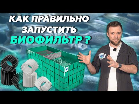 Видео: Запуск БИОФИЛЬТРА в системе УЗВ с НУЛЯ | 3 МЕТОДА запуска БИОФИЛЬТРА в системе УЗВ | Бизнес ИДЕИ