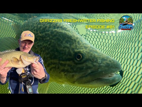 Видео: ЭПИЧЕСКАЯ РЫБАЛКА НА ПРИМАНКУ! Лов мюррейской трески и золотистого окуня на озере Эппалок