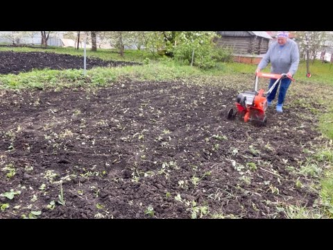 Видео: Купила электрический культиватор. Плюсы и минусы. Моё мнение о нём.