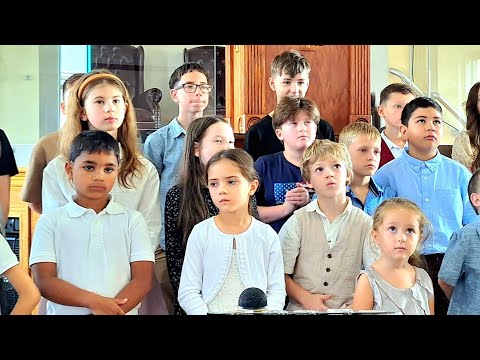 Видео: Любимки наши. Как их много))) 🥰👌💝💋💐✨️