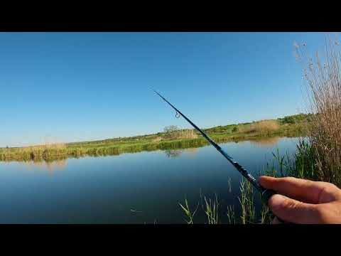 Видео: 2025.05.04 Миус. Фидер и Спиннинг. Берег - Моя рыбалка