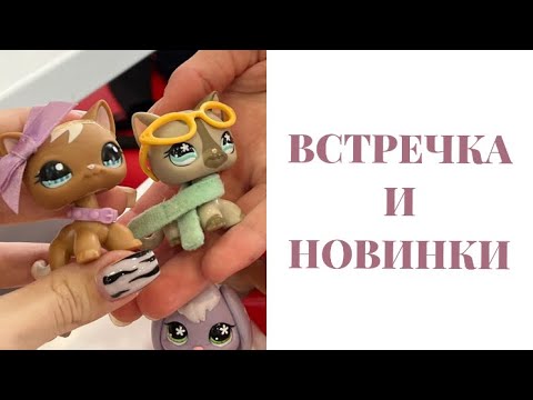 Видео: LPS: ВСТРЕЧКА | Новинки!