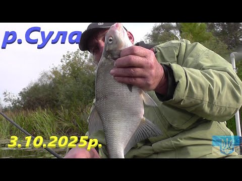 Видео: #Сула # На цій ямі увесь лящ #РибачуЯкУмію