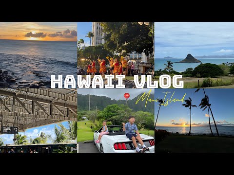 Видео: Hawaii Vlogl • Хавайд өнгөрүүлсэн бид дөрвийн аялалын тэмдэглэл 2|•Maui Island 🤍Wakikki Beach HI 