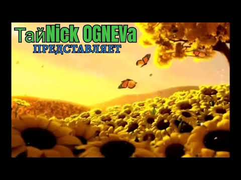 Видео: Подсолнух-золотой символизм.