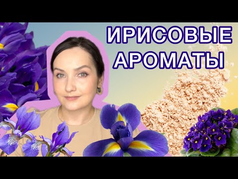 Видео: ЛУЧШИЕ АРОМАТЫ С НОТОЙ ИРИСА | ПУДРОВЫЕ, ПОМАДНЫЕ, ЗИМНИЕ АРОМАТЫ | БЮДЖЕТНАЯ ПАРФЮМЕРИЯ | SHAIK