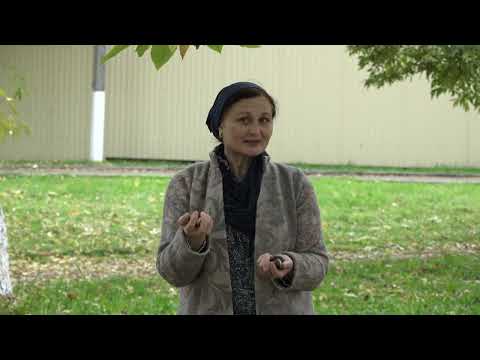 Видео: Живая природа 271025  (Каштаны)