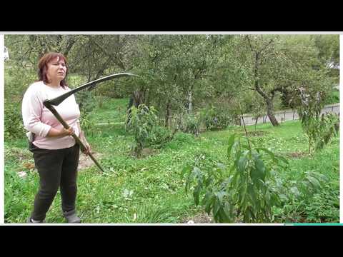 Видео: Купили стару хату. Що знайшли в хаті на горищі