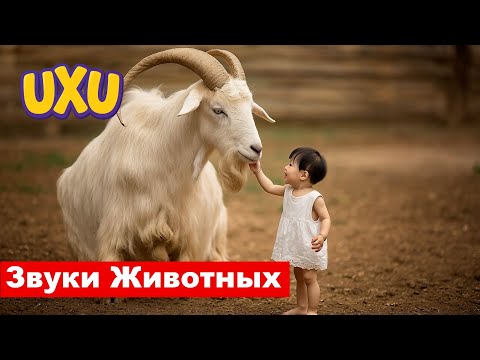 Видео: UxU - Звуки животных | #UxU_Russian – Для малышей и самых маленьких