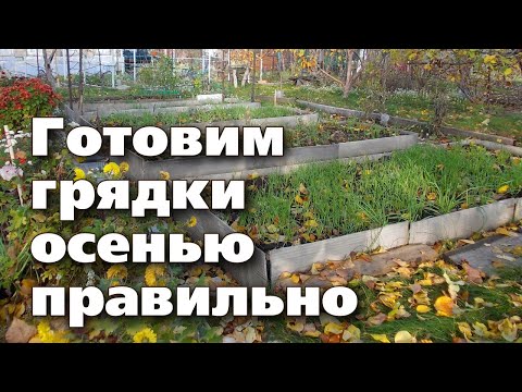 Видео: ЧТО ДОБАВИТЬ В ГРЯДКУ ДЛЯ БУДУЩИХ УРОЖАЕВ. Осенняя обработка земли в огороде