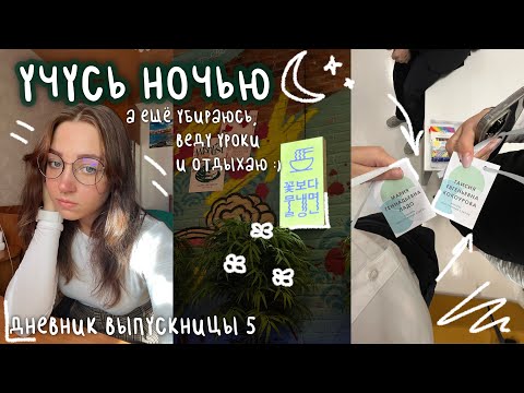 Видео: учусь ночью | дневник выпускницы #5