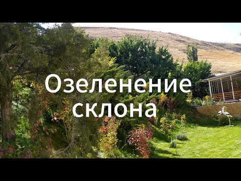 Видео: Ландшафтный дизайн. Озеленение склона.