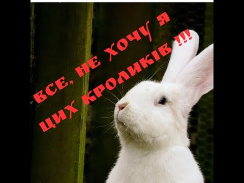 Видео: ВСЕ, НЕ ХОЧУ Я ЦИХ КРОЛИКІВ!!!