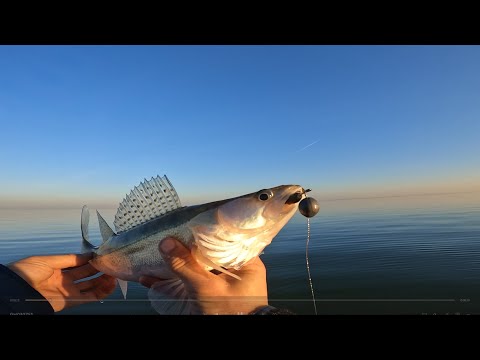 Видео: 31 километр осень 2025