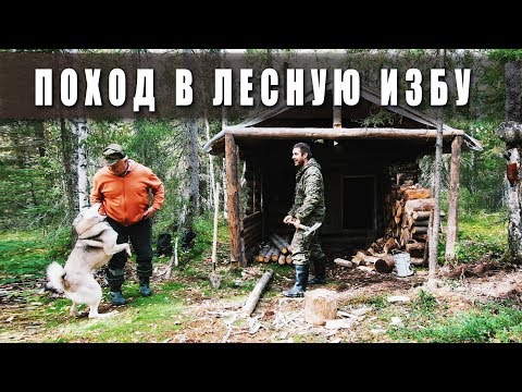 Видео: Поход в лес. 🌲 Лесная изба. 🏞Таёжный быт.👈