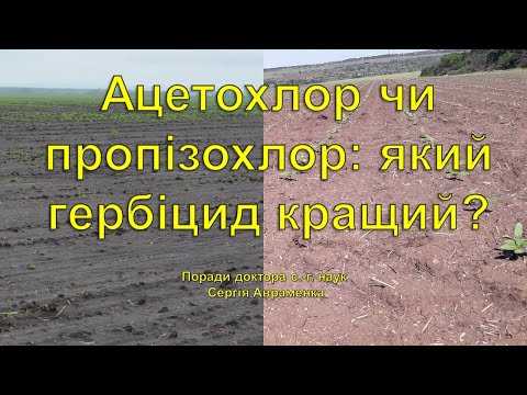 Видео: Який гербіцид кращий: ацетохлор чи пропізохлор?