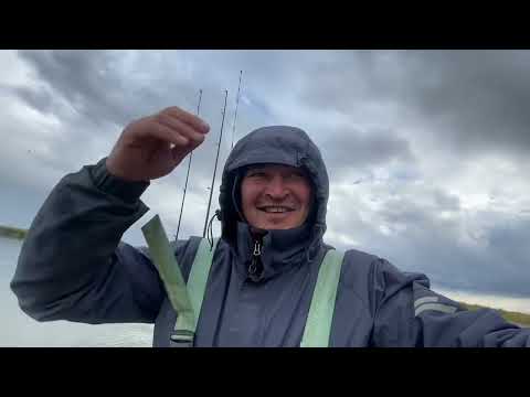 Видео: Рыбалка в Маково, жерех! 26.10.2024г.