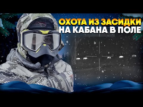 Видео: КОСУЛИ БЕРУТ В ПЛЕН | ОХОТА НА КАБАНА в ПОЛЕ