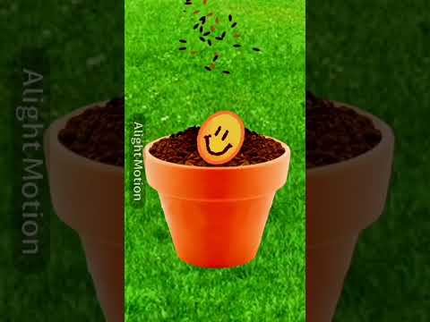 Видео: {Dreamcore Tick-tock compilation/ Подборка Дримкор из Тик-Тока} (#1) [Ella Dreamcore] ☁️✨