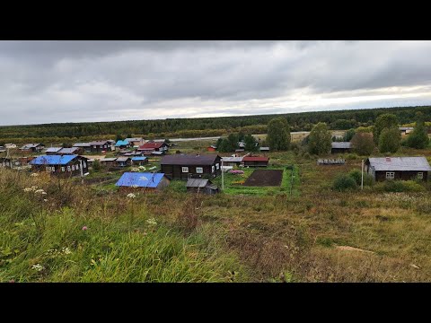 Видео: Уборка картошки скоро закончится. Вчера были в походе на рыбалке. 08.09.25