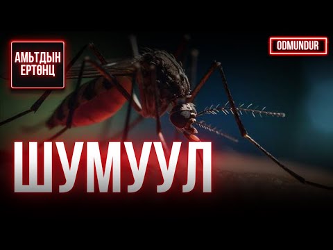 Видео: Шумуул - АМЬТДЫН ЕРТӨНЦ