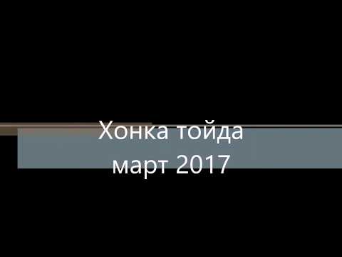 Видео: Хонкада тойда -  март 2017