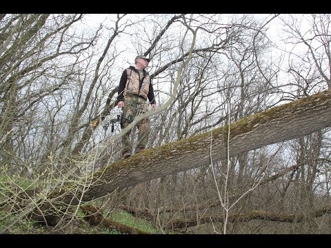Видео: Лучшие Охотничьи стрелы, броадхеды, релизы - правда и вымысел современного Archery