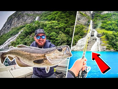 Видео: КАСАПНИЦА! Най-ЛУДОТО риболовно място! С кемпер на риболов в Норвегия. 