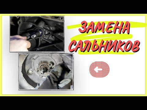 Видео: КАК ЗАМЕНИТЬ САЛЬНИКИ КОЛЕНВАЛА HONDA DIO 34\35