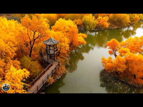 Видео: ОСЕНЬ В ЧУВСТВАХ! Музыка для глубокой души! Я плакала, когда услышала эту песню! Осень нашей любви