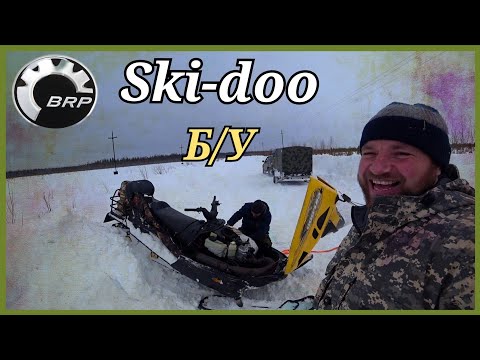 Видео: КОТ В МЕШКЕ! Покупка снегохода. BRP Ski-doo. Хмао-югра.