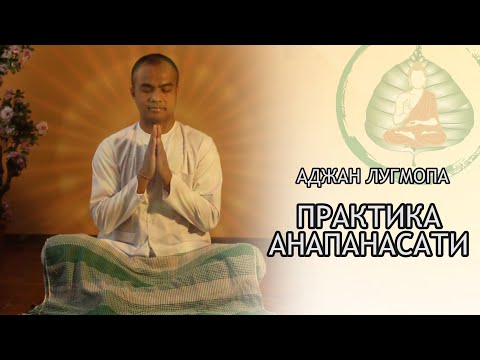 Видео: Аджан Лугмопа - Практика Анапанасати / Студия Бодхи