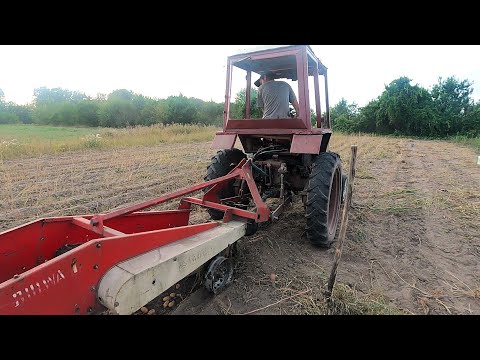 Видео: Еду косить мульчером и копать картошку на Т-25.