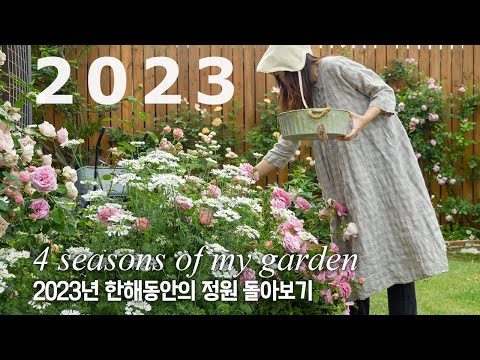 Видео: Специальный фильм 🌿 4 сезона моего маленького сада 2023 года 'HeeYoung's rose garden'