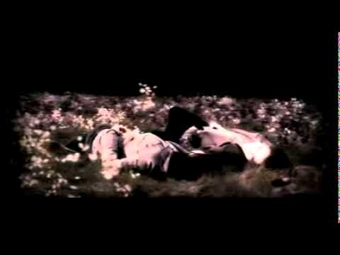 Видео: Мой рай Деймон и Елена