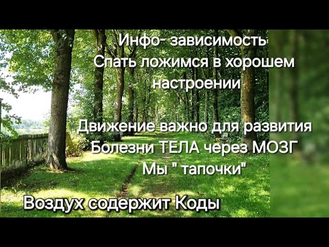 Видео: Мышление снижает вес. Вода -целитель. Однажды мы поймём. Зеркальные цыфры. Практика. Wasser.