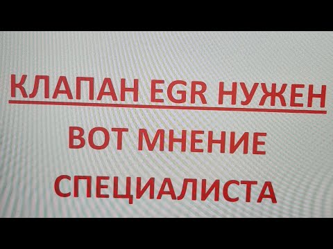 Видео: 23 августа 2025 г.