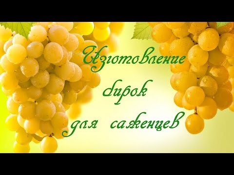 Видео: Изготовление бирок для саженцев