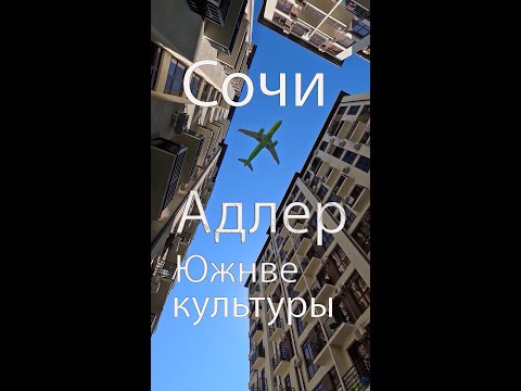 Видео: Район Южные культуры Адлера