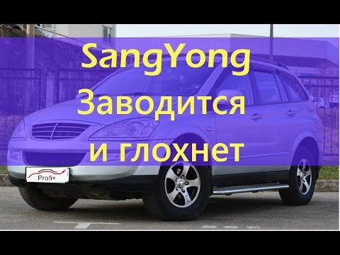 Видео: SsangYong заводится и глохнет