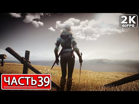 Видео: THE WITCHER 3: WILD HUNT Полное Прохождение Часть 41 ВЕДЬМАК 3 ДИКАЯ ОХОТА #shorts