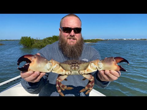 Видео: Поймать КАМЕННОГО КРАБА на сотни долларов! Поймать, почистить, приготовить