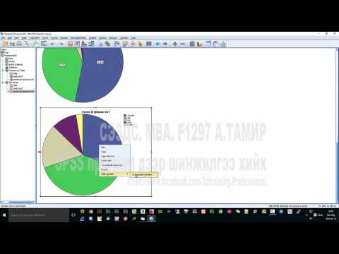 Видео: SPSS програм дээр шинжилгээ хийх