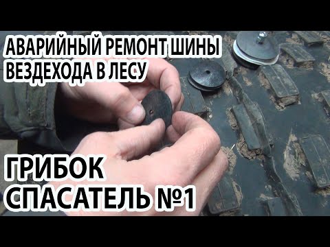 Видео: Аварийный ремонт шины вездехода в лесу