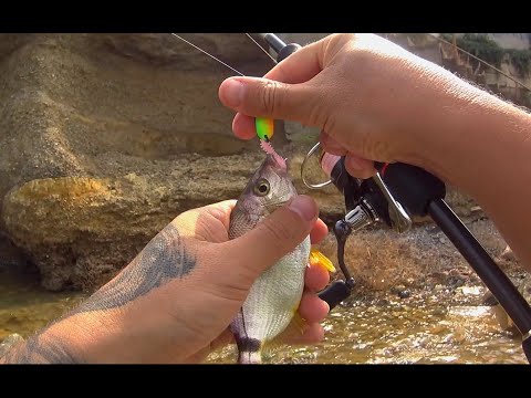 Видео: Ласкирь на блесну, рыбалка на Чёрном море