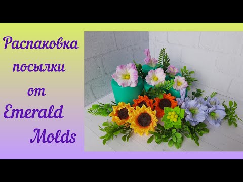 Видео: Распаковка, обзор и заливка форм от Emerald Molds. Мыловарение для начинающих /мыло ручной работы.